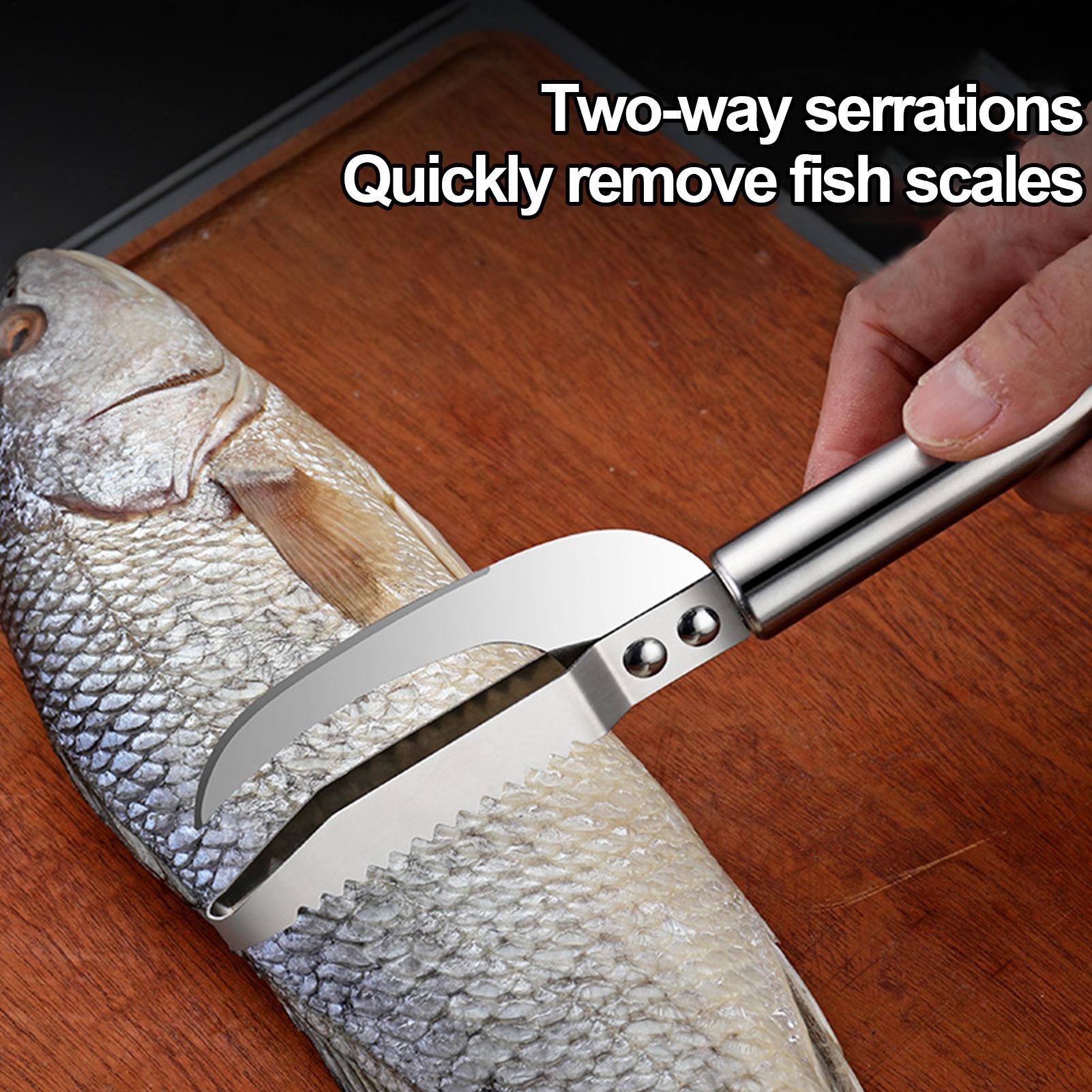 Fish Scale Remover Knife Picki - đánh giá và giá Commercial Kitchen Cleaning